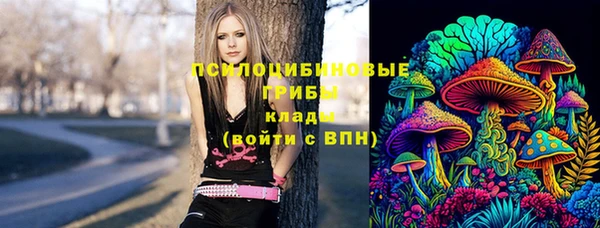 спайс Вязьма